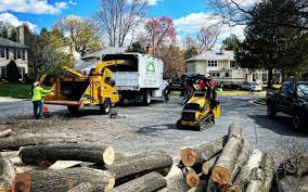 Best Lawn Maintenance Plans  in Green Valley, AZ