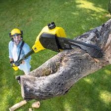 Lawn Irrigation Installation and Maintenance in Green Valley, AZ